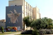 22/05/2018 L'artista palmes Javier Garl ha comenat l'obra Cristatus XL, que cobrir una paret de l'edifici Mateu Orfila i Rotger del campus - Foto: A.COSTA (UIB)