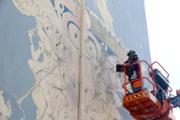 22/05/2018 L'artista palmes Javier Garl ha comenat l'obra Cristatus XL - Foto:A.COSTA (UIB)