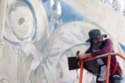 22/05/2018 L'artista palmes Javier Garl ha comenat l'obra Cristatus XL - Foto:A.COSTA (UIB)